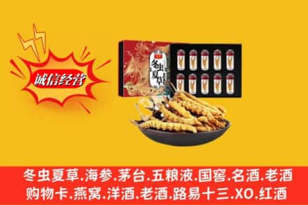 信阳市息县回收冬虫夏草