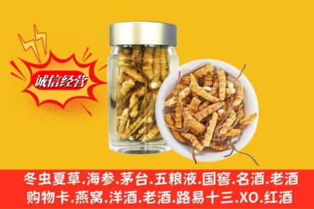 信阳市息县回收散虫草