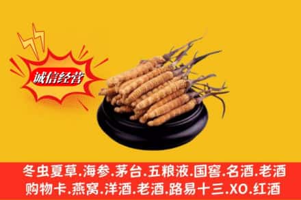 信阳市息县求购回收虫草多少钱每克
